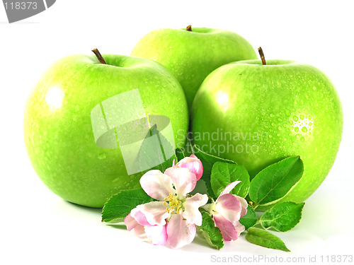 Image of green apple