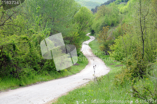 Image of Long Winding Dirt Road