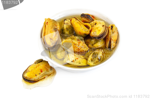 Image of Mussels