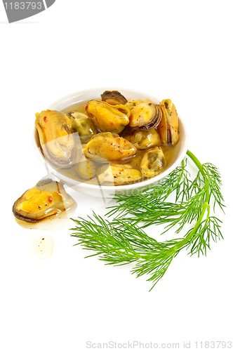 Image of Mussels with fennel