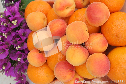 Image of Fruits and bougainvillea