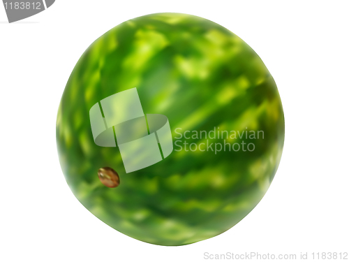 Image of illustration of juicy water melon