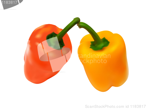 Image of vector illustration of the colorful paprika