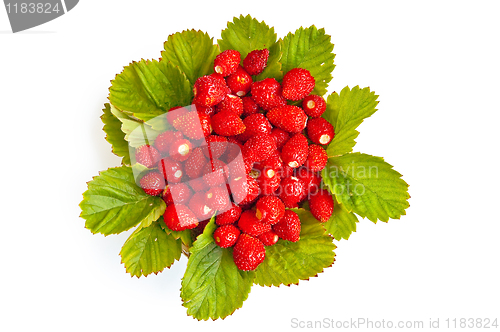 Image of Strawberries with leaves