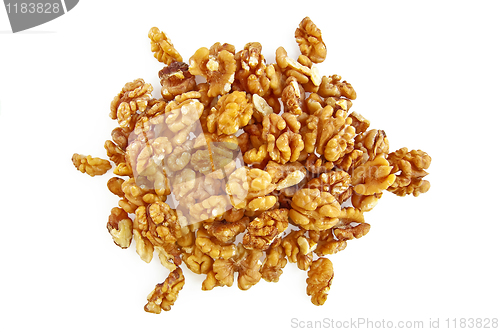 Image of Turtle walnuts