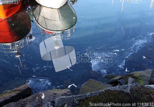 Image of Fish guts