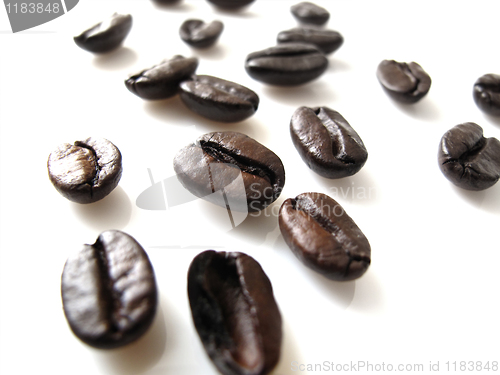 Image of coffee beans