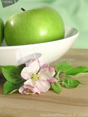 Image of green apple