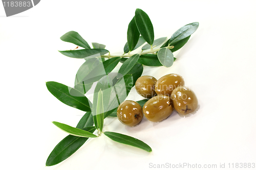 Image of Olives