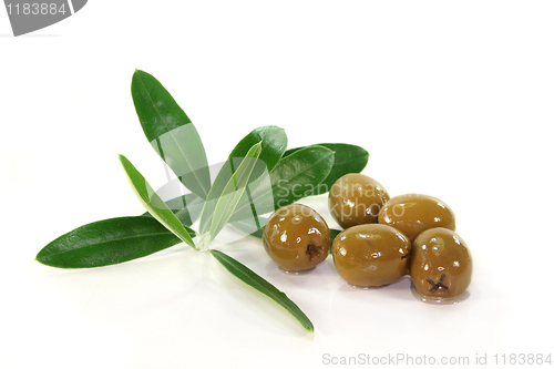 Image of Olives