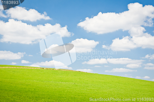 Image of agriculture landscape