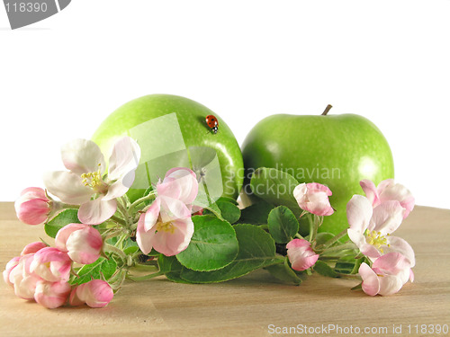 Image of green apple