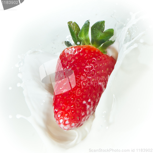 Image of strawberry splashing into milk