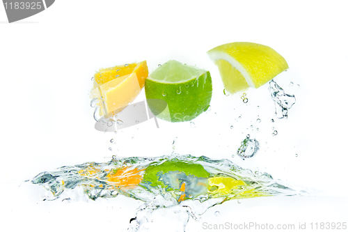 Image of citrus fruit splashing