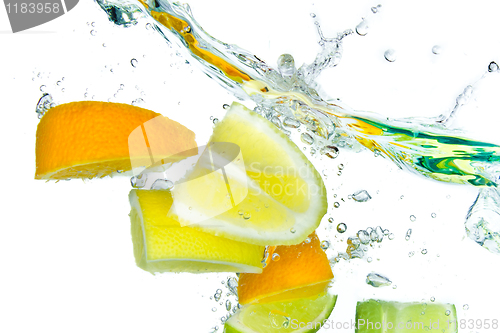 Image of citrus fruit splashing