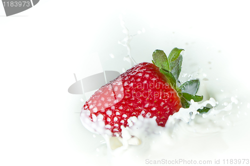 Image of strawberry splashing into milk