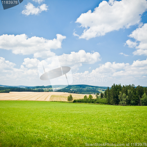 Image of agriculture landscape