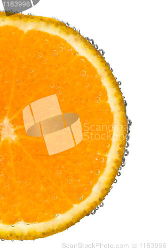 Image of mandarine with bubbles