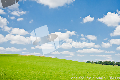 Image of agriculture landscape