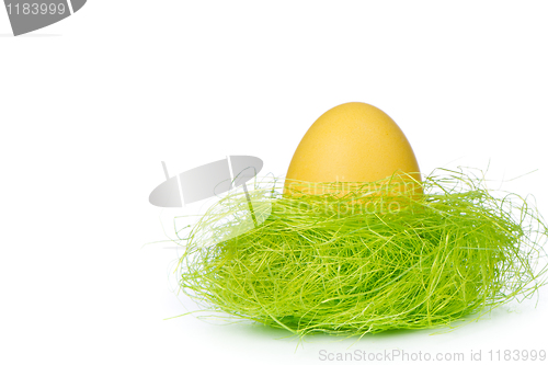 Image of easter egg in nest