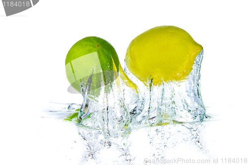 Image of citrus fruit splashing