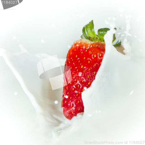 Image of strawberry splashing into milk