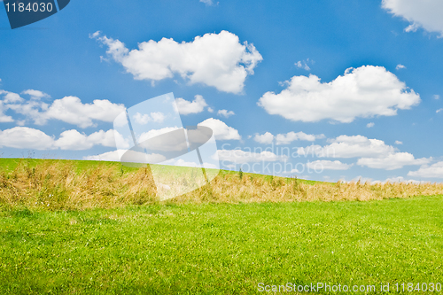 Image of agriculture landscape