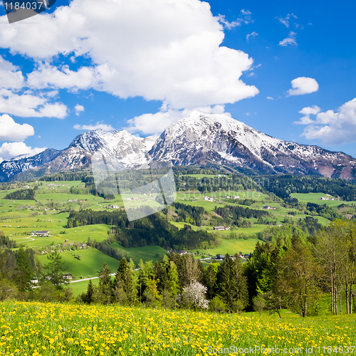 Image of alpine landscape