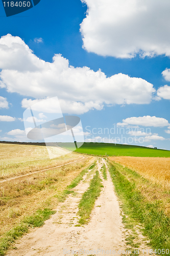 Image of agriculture landscape