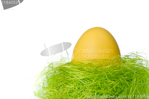 Image of easter egg in nest