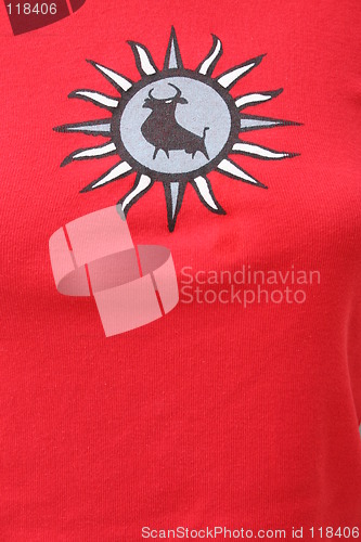 Image of Bull on woman T-shirt