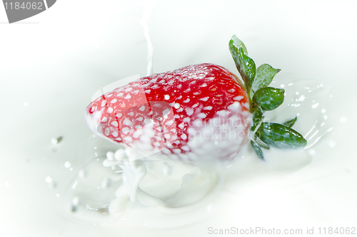 Image of strawberry splashing into milk