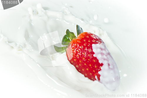 Image of strawberry splashing into milk