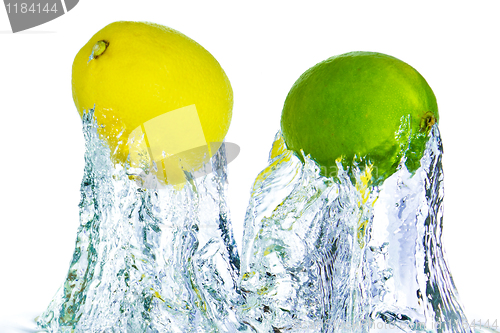 Image of citrus fruit splashing