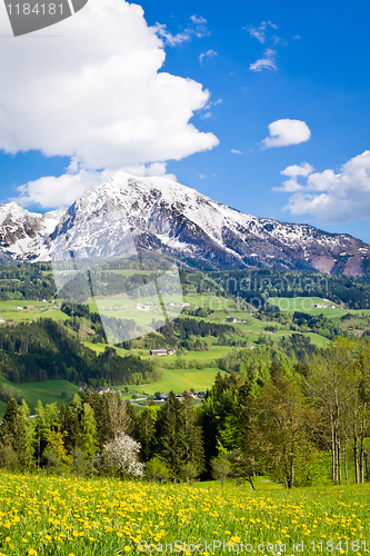 Image of alpine landscape