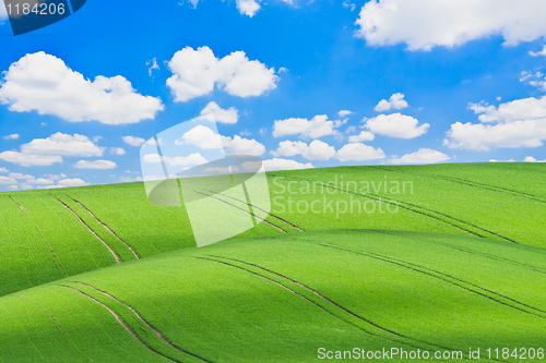 Image of green field