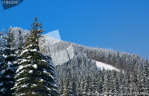 Image of Ski Resort