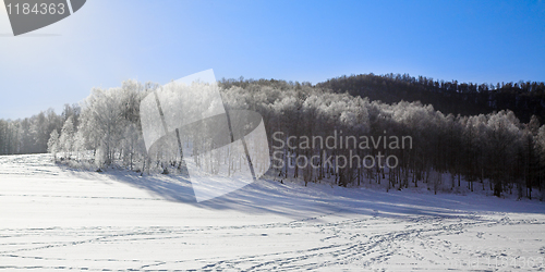 Image of winter landscape