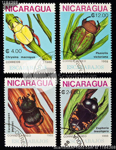 Image of Beetles stamps collection.