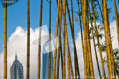 Image of shanghai pudong view from puxi 