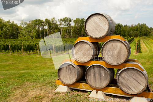 Image of Wine barrels