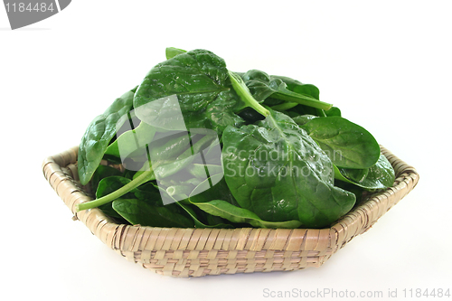 Image of Spinach