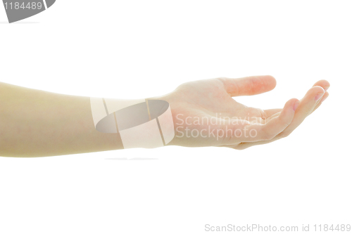 Image of Hand of the girl on a white background