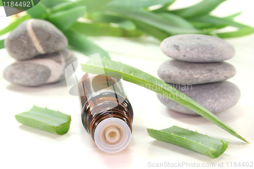 Image of Aloe Vera drops with bottles