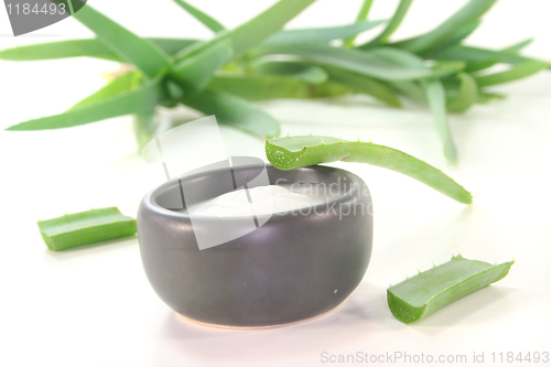 Image of Aloe Vera lotion