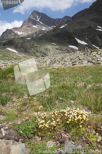 Image of Italian Alps