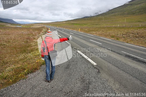 Image of Hitchhiker