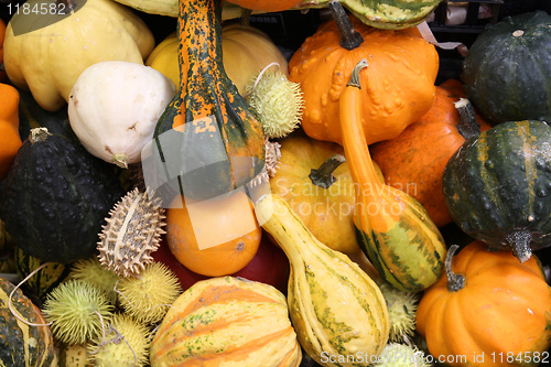 Image of Vegetables