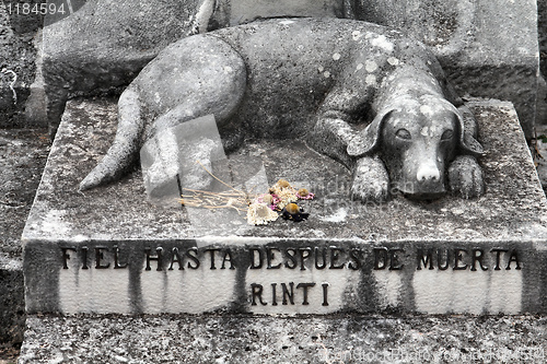 Image of Dog grave