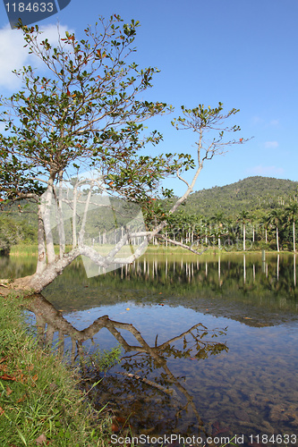 Image of Cuba - Las Terrazas